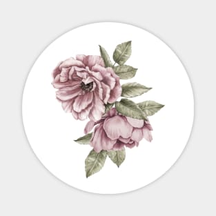 Two Dusty Pink Roses Magnet